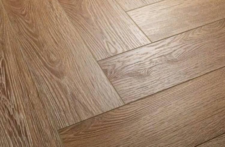 Елочка английская.jpg?lang=ru